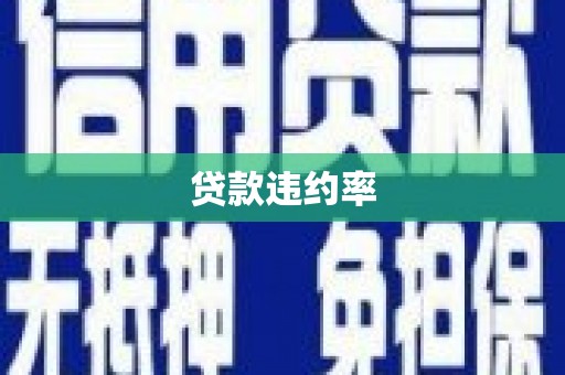 北林贷款违约率