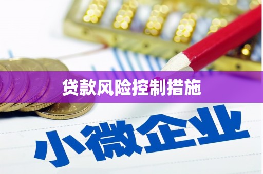 北林贷款风险控制措施