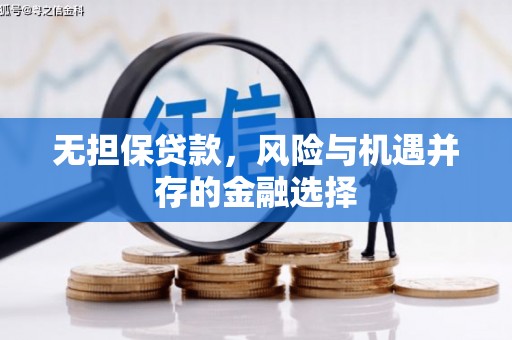 北林无担保贷款，风险与机遇并存的金融选择
