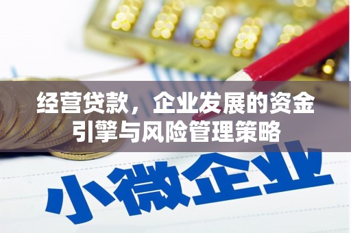 北林经营贷款，企业发展的资金引擎与风险管理策略