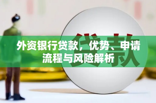 北林外资银行贷款，优势、申请流程与风险解析