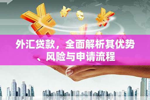 北林外汇贷款，全面解析其优势、风险与申请流程