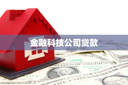 北林金融科技公司贷款