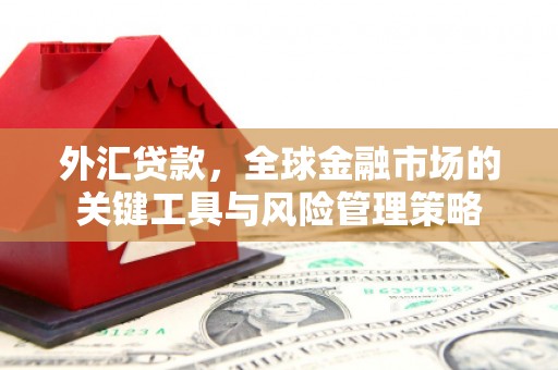 北林外汇贷款，全球金融市场的关键工具与风险管理策略