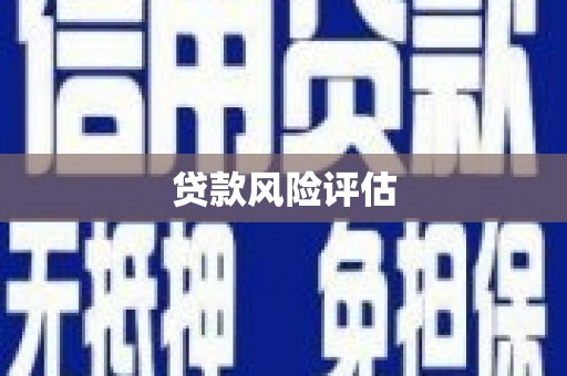 北林贷款风险评估