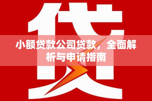 北林小额贷款公司贷款，全面解析与申请指南