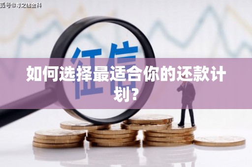 北林如何选择最适合你的还款计划？