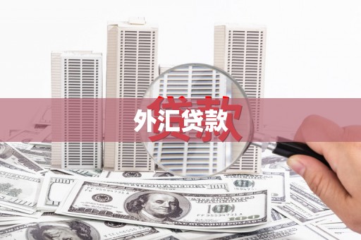 北林外汇贷款