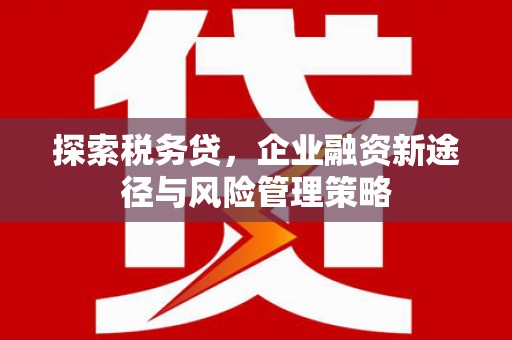 北林探索税务贷，企业融资新途径与风险管理策略