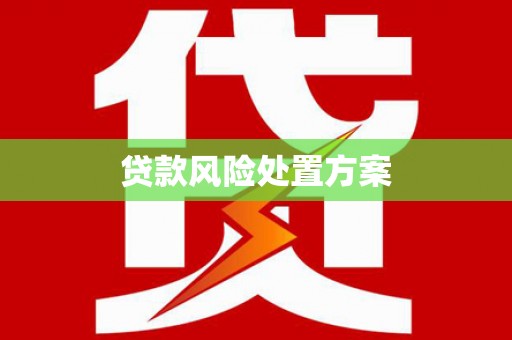 北林贷款风险处置方案