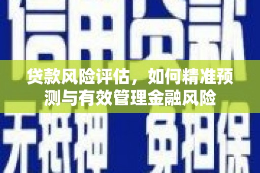 北林贷款风险评估，如何精准预测与有效管理金融风险
