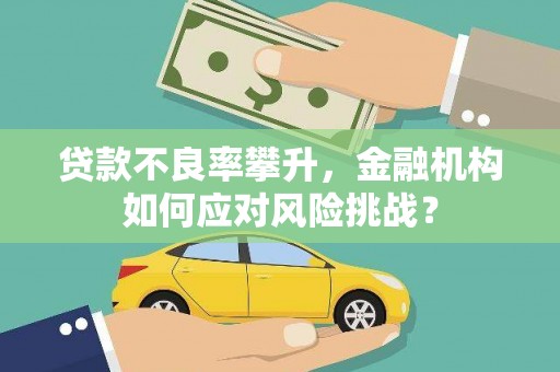 北林贷款不良率攀升，金融机构如何应对风险挑战？