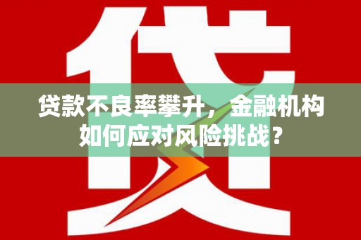 北林贷款不良率攀升，金融机构如何应对风险挑战？
