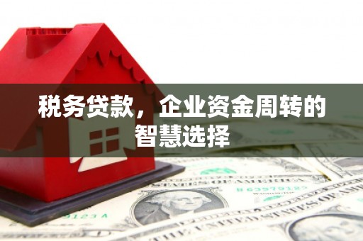 北林税务贷款，企业资金周转的智慧选择