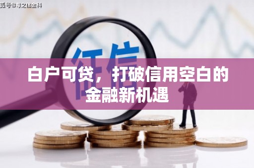 北林白户可贷，打破信用空白的金融新机遇