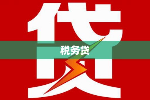 北林税务贷