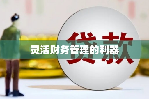 北林灵活财务管理的利器