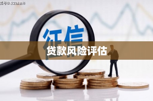 北林贷款风险评估