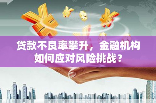 北林贷款不良率攀升，金融机构如何应对风险挑战？