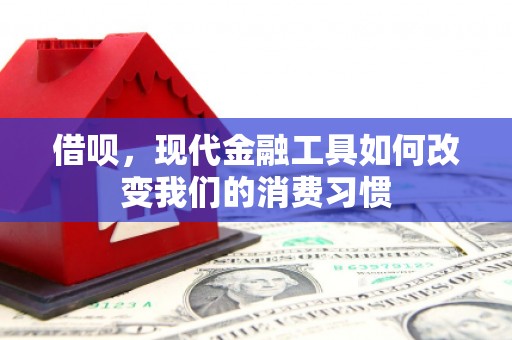 北林借呗，现代金融工具如何改变我们的消费习惯