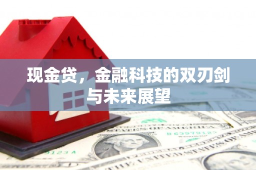 北林现金贷，金融科技的双刃剑与未来展望