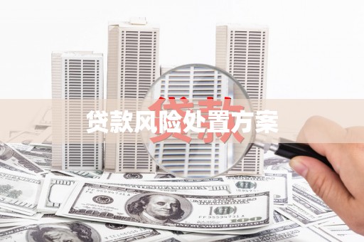 北林贷款风险处置方案