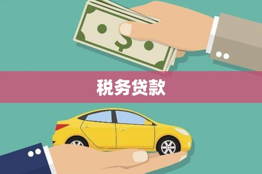 北林税务贷款