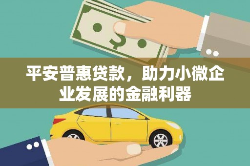 北林平安普惠贷款，助力小微企业发展的金融利器
