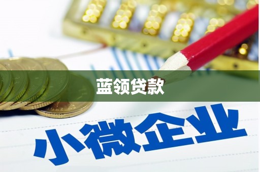 北林蓝领贷款