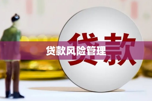 北林贷款风险管理