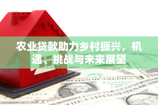 北林农业贷款助力乡村振兴，机遇、挑战与未来展望
