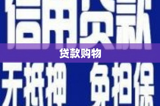 北林贷款购物