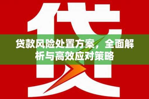 北林贷款风险处置方案，全面解析与高效应对策略