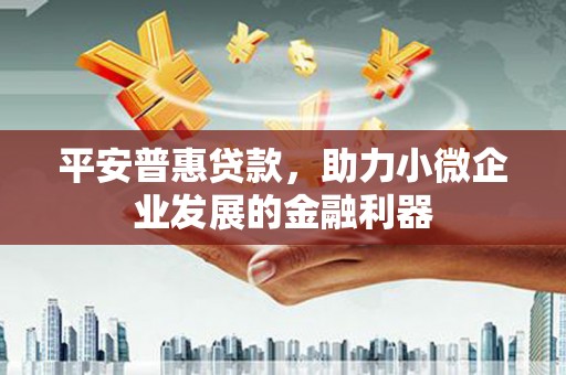 北林平安普惠贷款，助力小微企业发展的金融利器