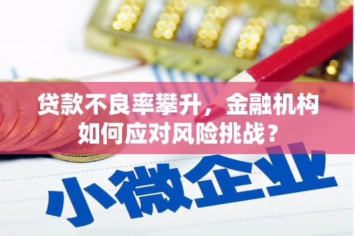 北林贷款不良率攀升，金融机构如何应对风险挑战？