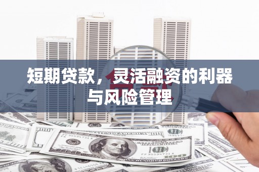北林短期贷款，灵活融资的利器与风险管理