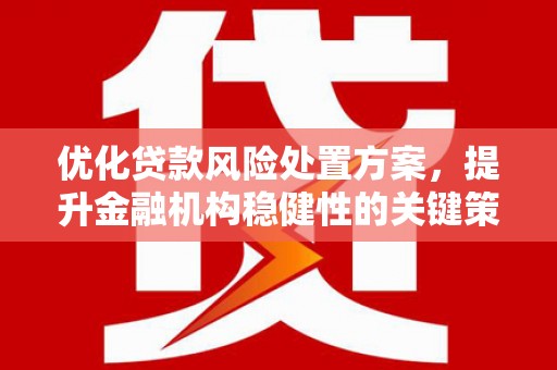 北林优化贷款风险处置方案，提升金融机构稳健性的关键策略