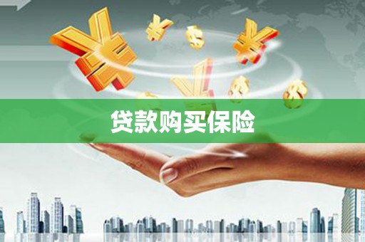 北林贷款购买保险