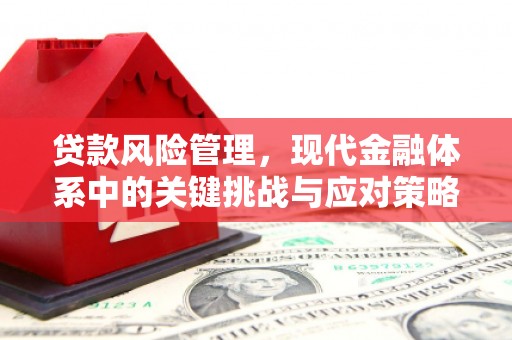 北林贷款风险管理，现代金融体系中的关键挑战与应对策略