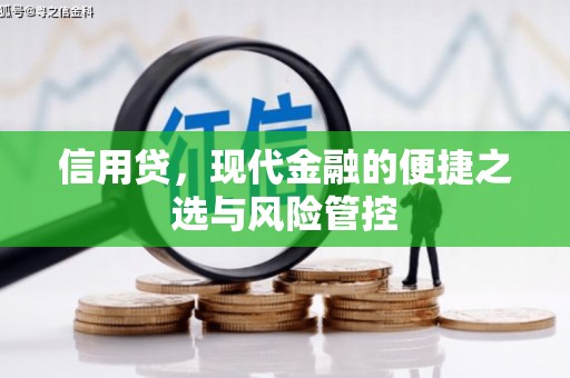 北林信用贷，现代金融的便捷之选与风险管控