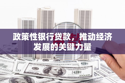 北林政策性银行贷款，推动经济发展的关键力量