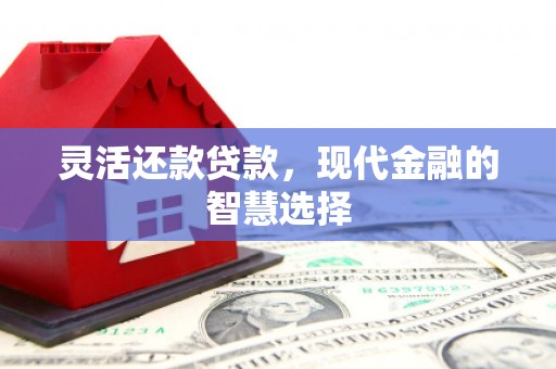 北林灵活还款贷款，现代金融的智慧选择