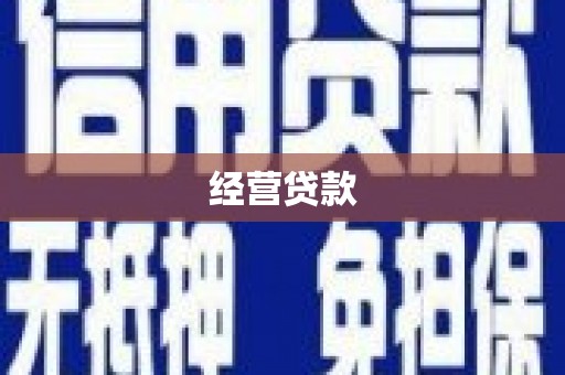 北林经营贷款