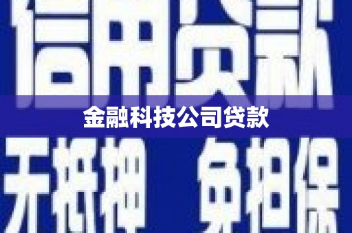 北林金融科技公司贷款