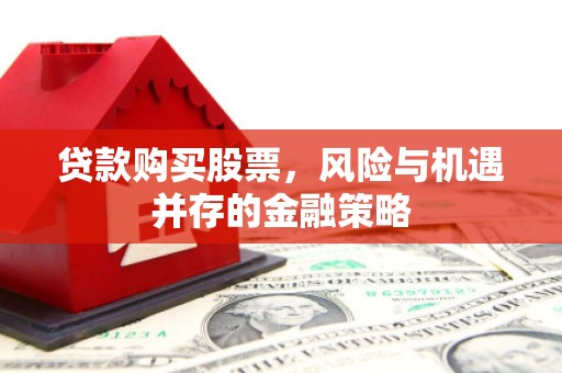 北林贷款购买股票，风险与机遇并存的金融策略
