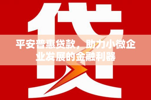 北林平安普惠贷款，助力小微企业发展的金融利器
