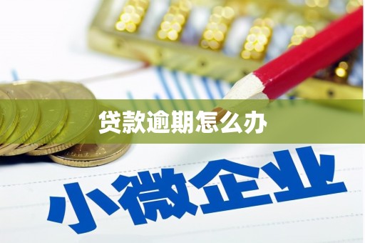 北林贷款逾期怎么办