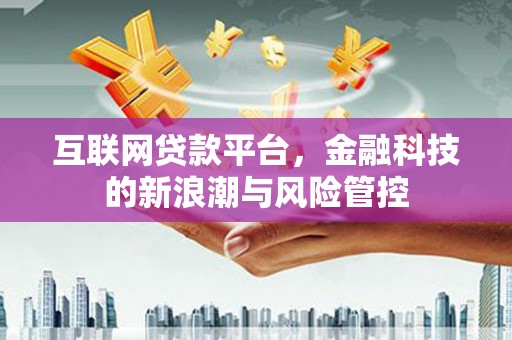 北林互联网贷款平台，金融科技的新浪潮与风险管控