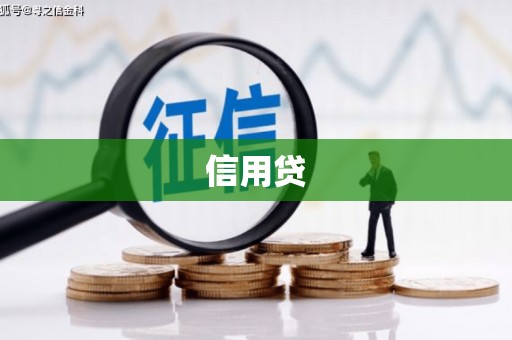 北林信用贷