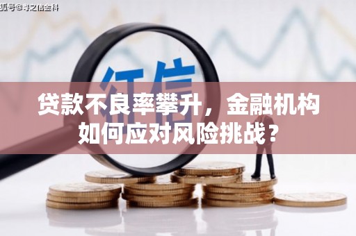 北林贷款不良率攀升，金融机构如何应对风险挑战？